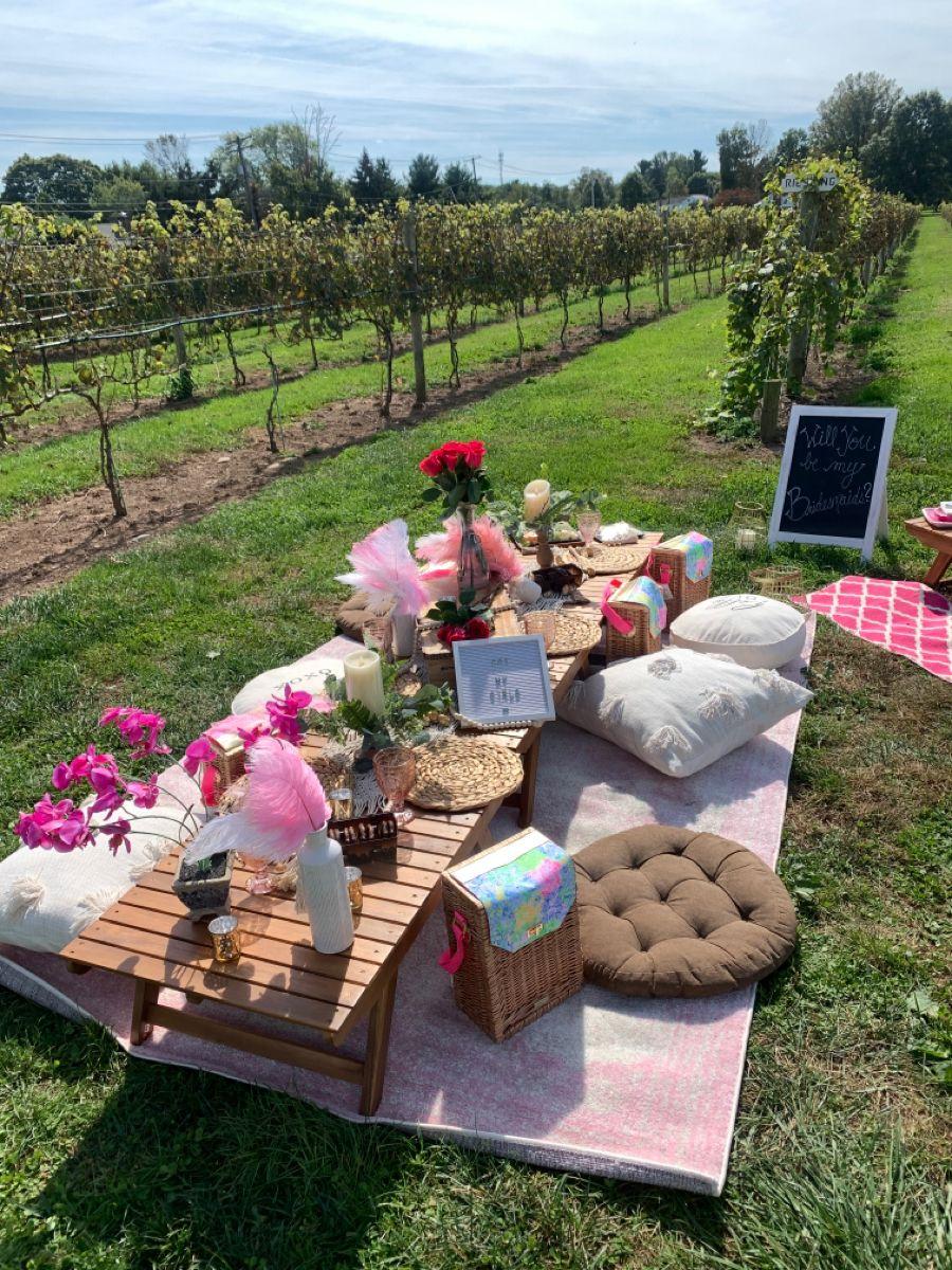 DIY bridesmaid proposal picnic setup