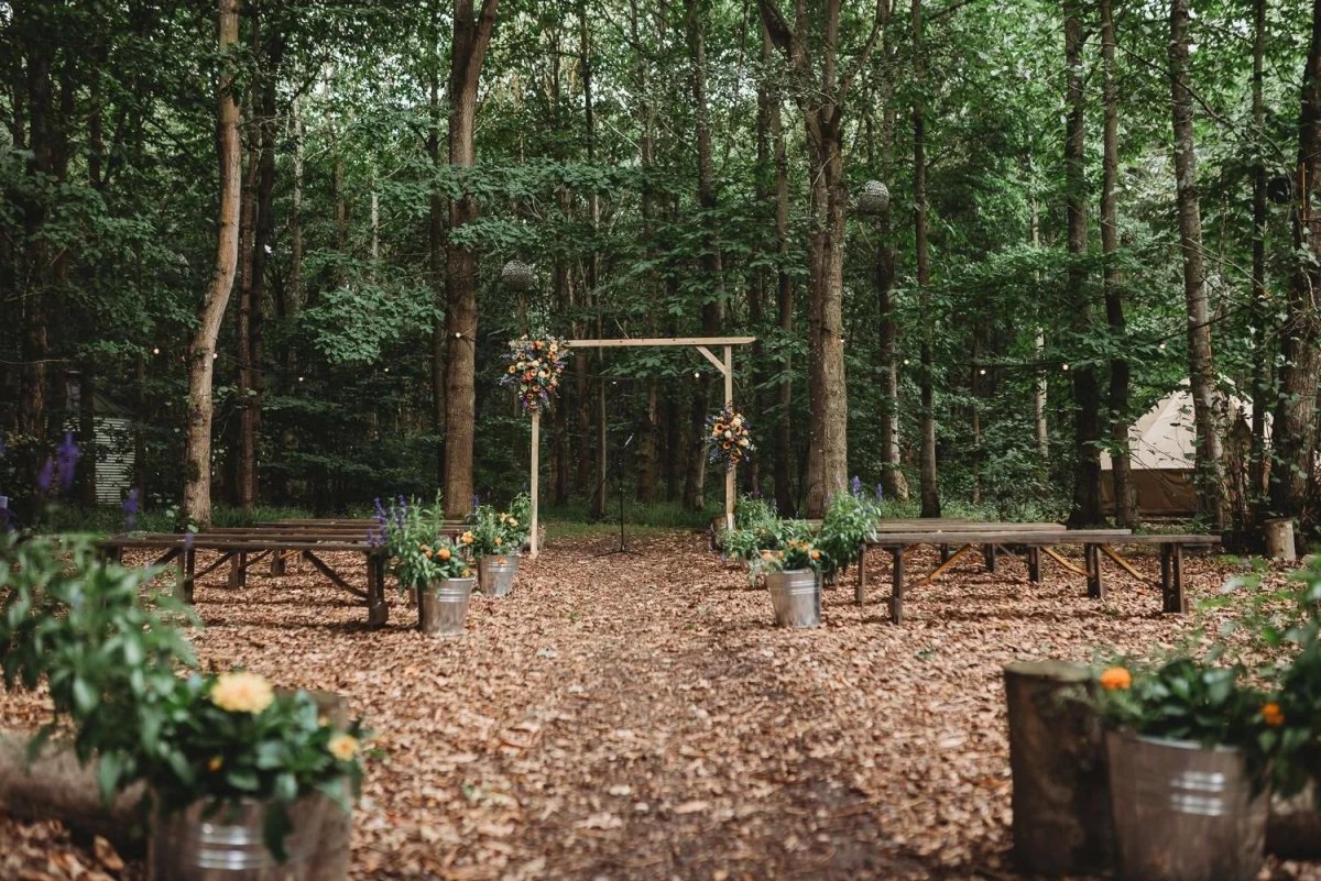 Forest wedding venue with trees