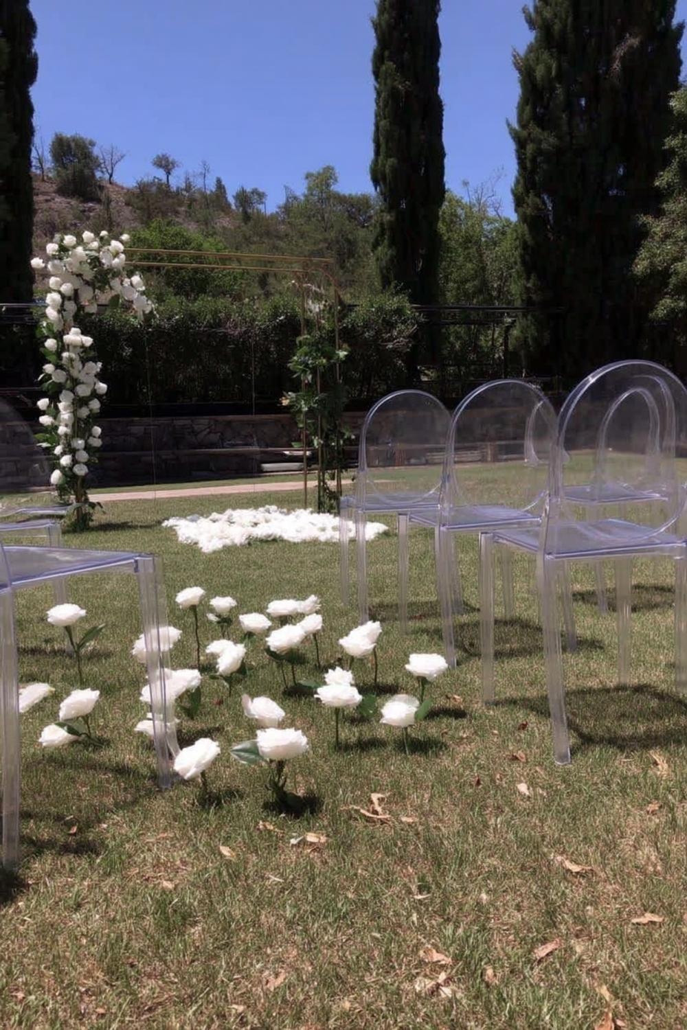 Modern Acrylic Chair Setup