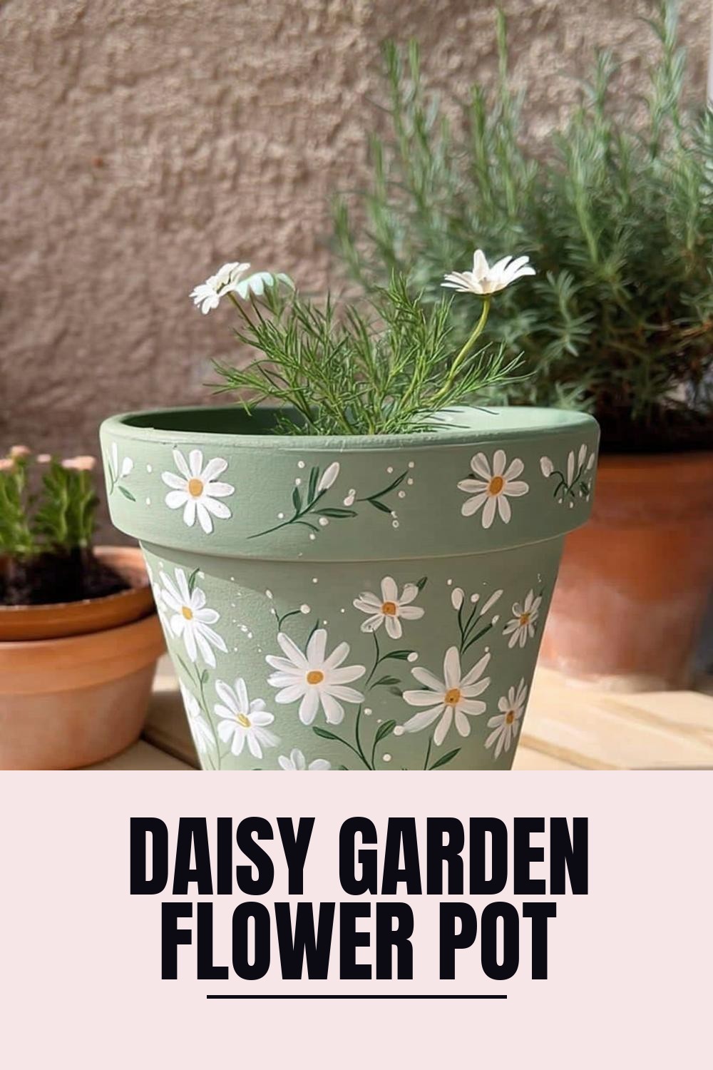 Daisy Garden Flower Pot