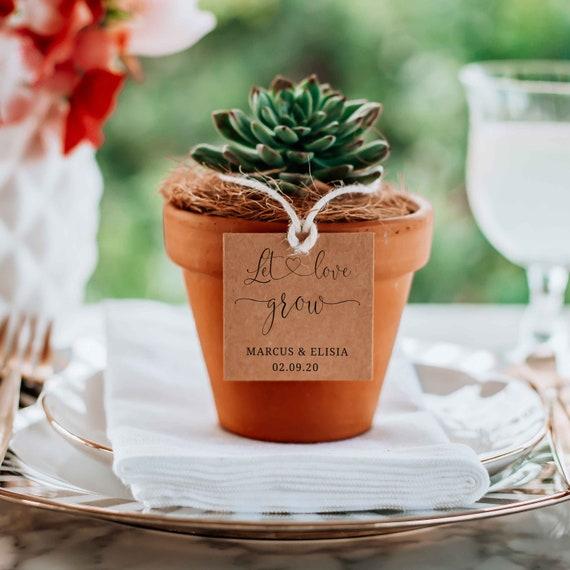 Sage terracotta wedding favors