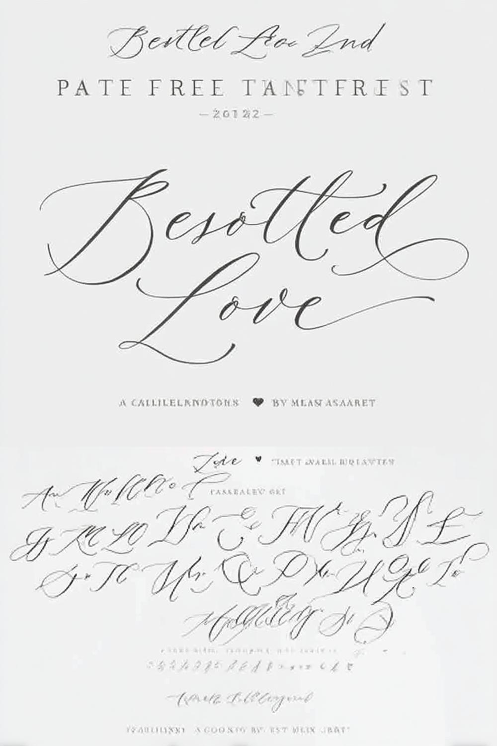 Sophisticated Script Specimen