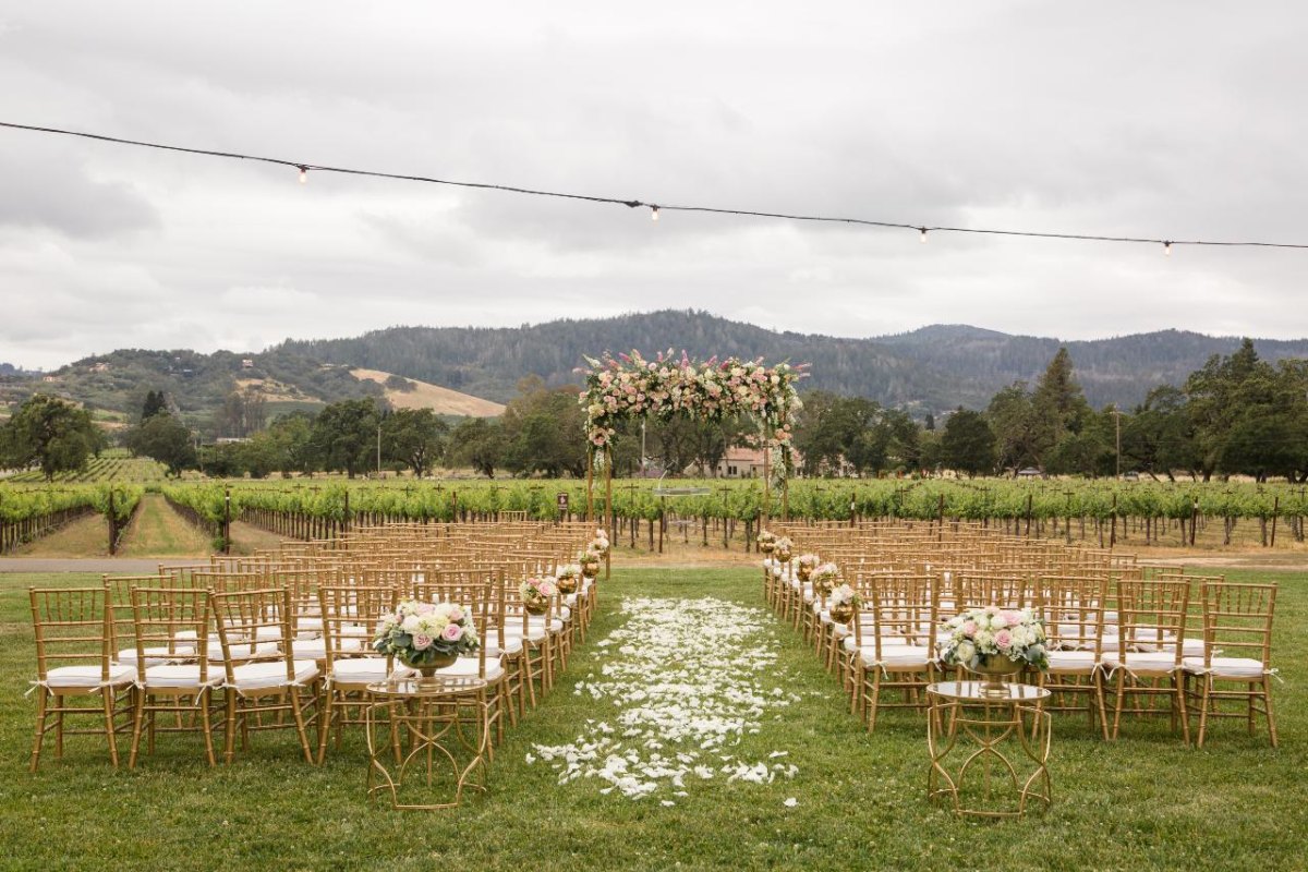 Vineyard wedding ceremony among vines