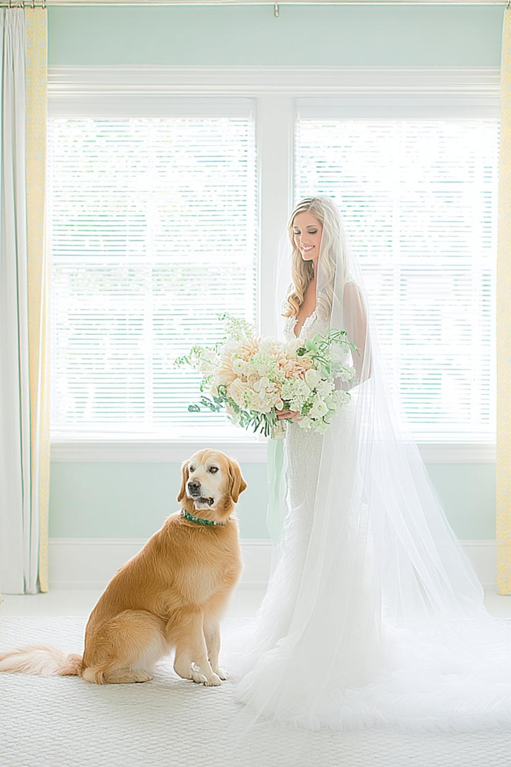 Furry Wedding Guest